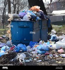 Best Dumpster Rental Services  in , NM